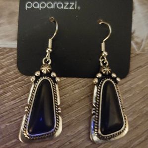 Paparazzi earrings ✨